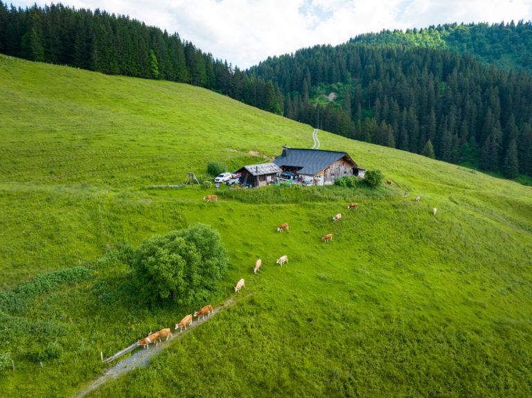 DJI_0289