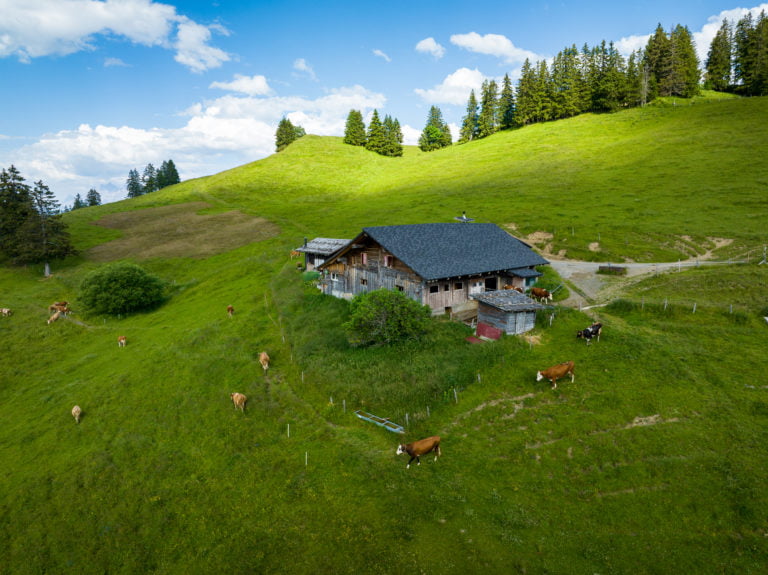 DJI_0295